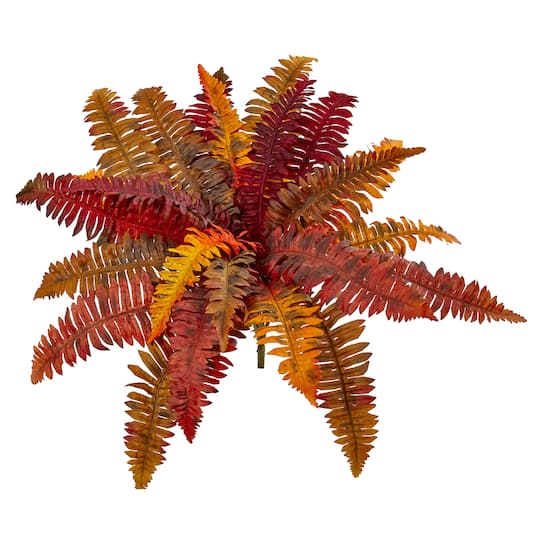 20" Autumn Boston Fern Bush, 3ct.